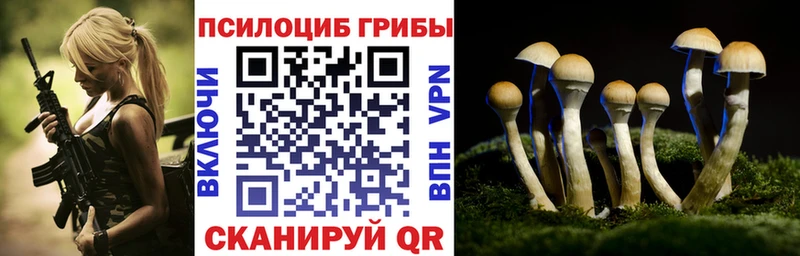 Купить где  Похвистнево  Псилоцибиновые грибы ЛСД 